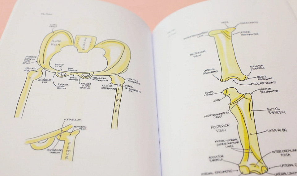 Why Certain Healing Tools Are Never Discussed in Medical School