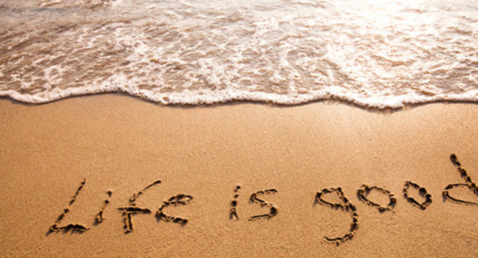 The Courage to Question When Truth Feels Unstable by Amalya.