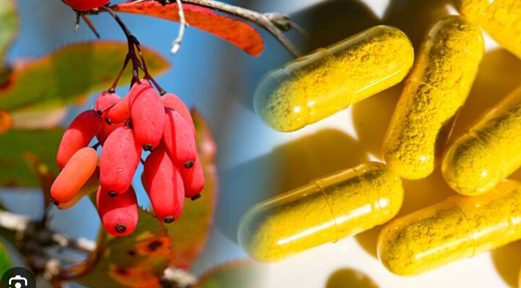 Berberine Benefits Ancient Herbal Compound