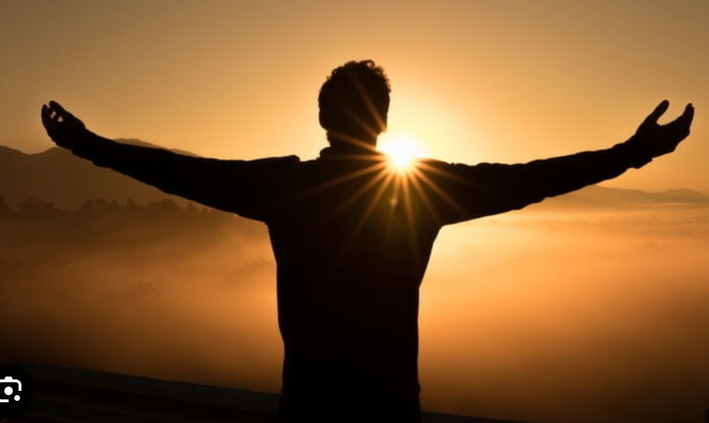 From Merck Rep to Master Herbalist: Awake