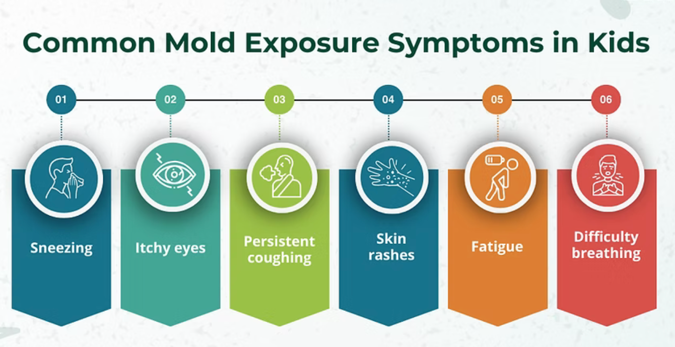 Mold Illness in Kids and Adults: Symptoms and Healing