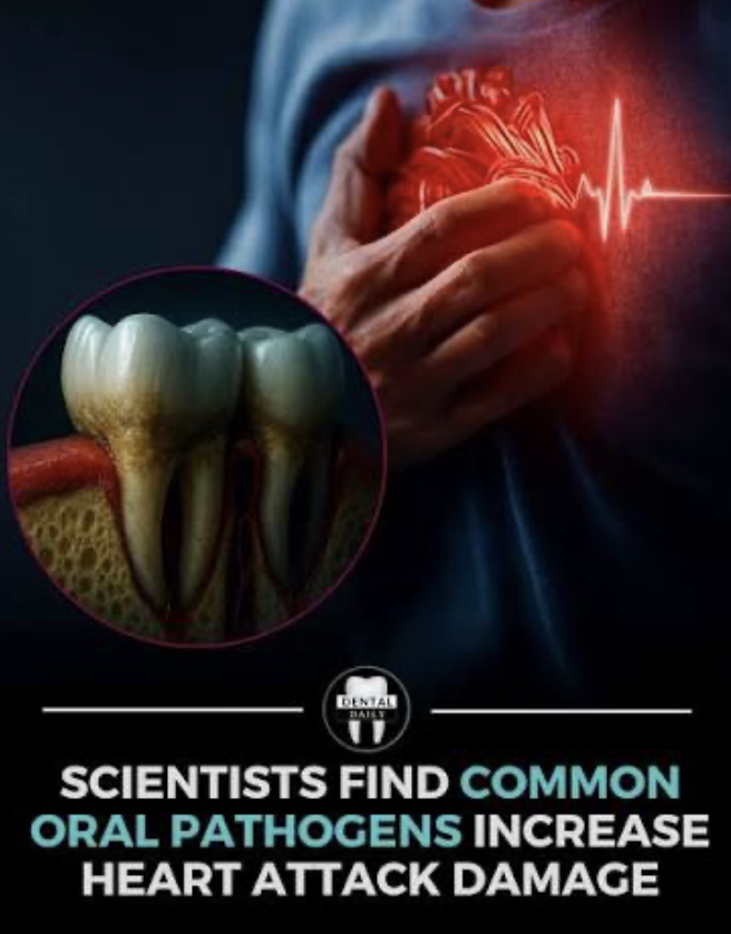 Link Between Teeth and Chronic Disease