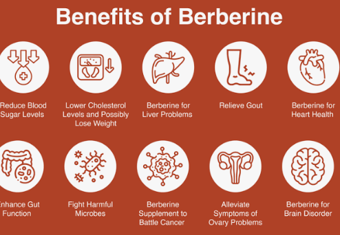 BERBERINE ALL BENEFITS FROM THIS PLANT.