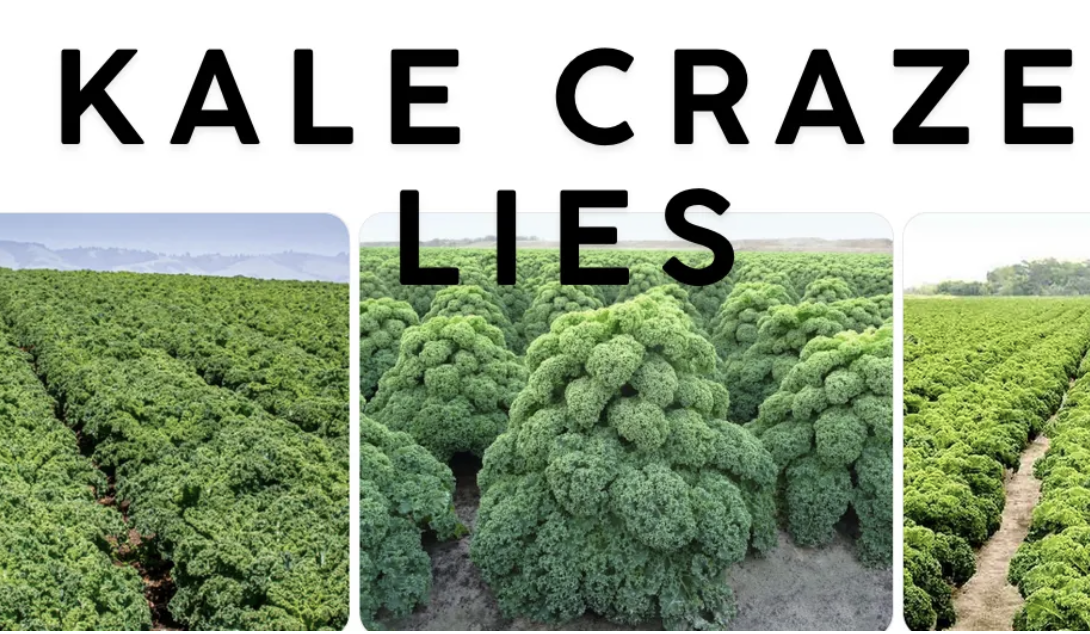 KALE CRAZE WAS GUERILLA MARKETING